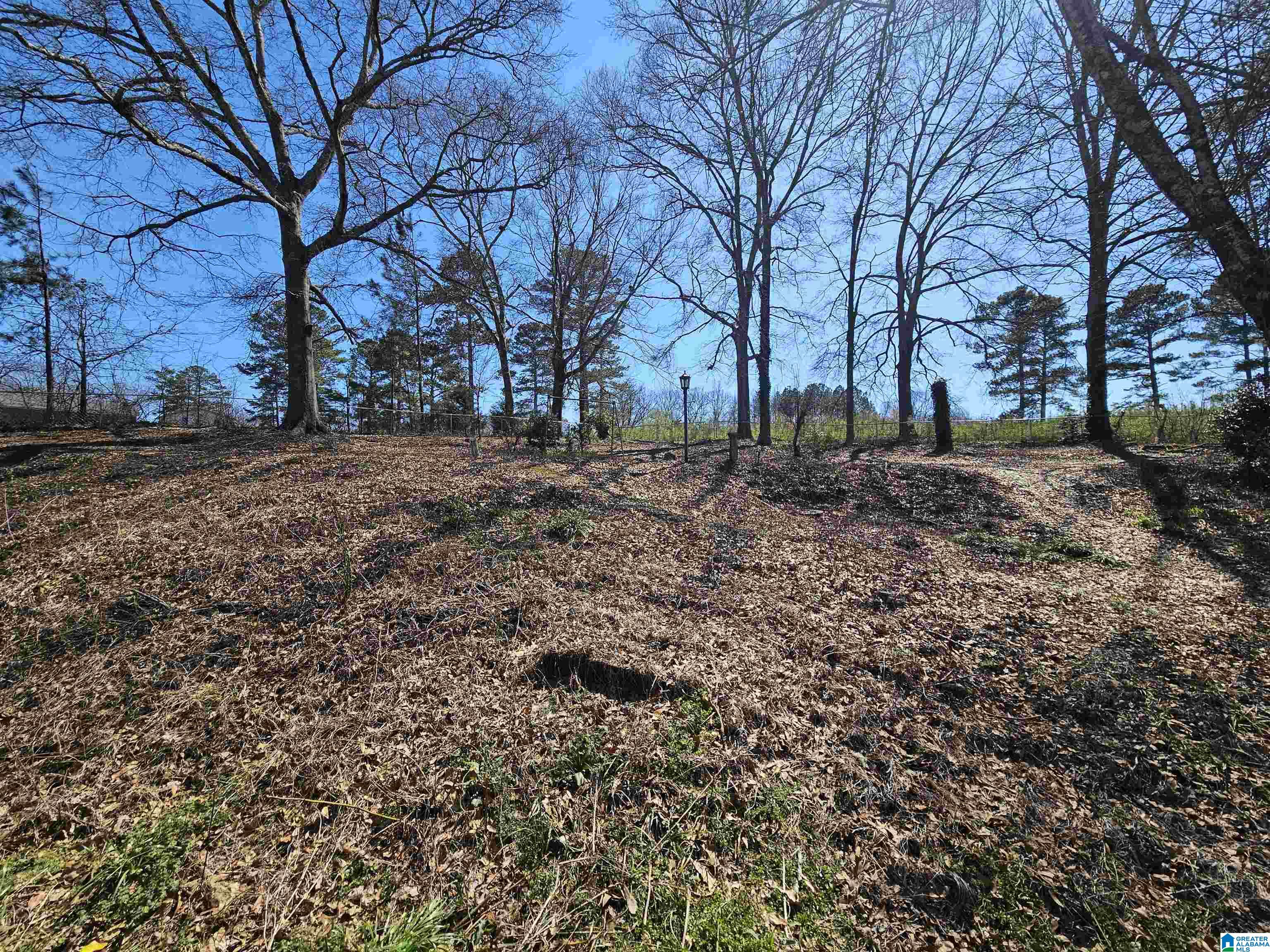 408 Cherokee Trail Anniston, AL 36206 - Photo 26 of 29