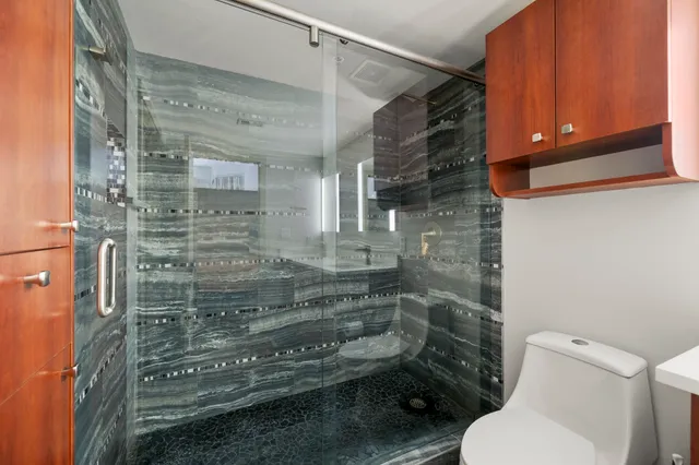 a bathroom with a toilet and shower