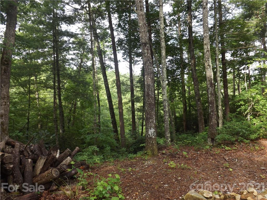 0 Fox Ridge Trail, Unit 6 Marion, NC 28752 - Photo 12 of 28 Gallery Image 12