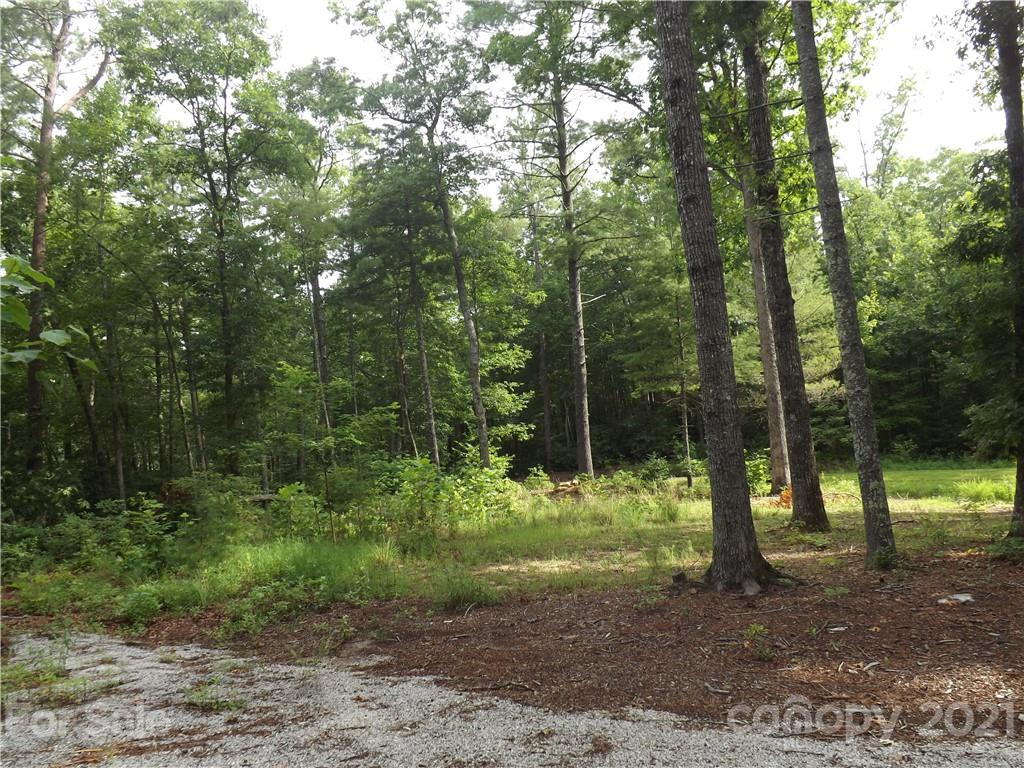 0 Fox Ridge Trail, Unit 6 Marion, NC 28752 - Photo 13 of 28 Gallery Image 13