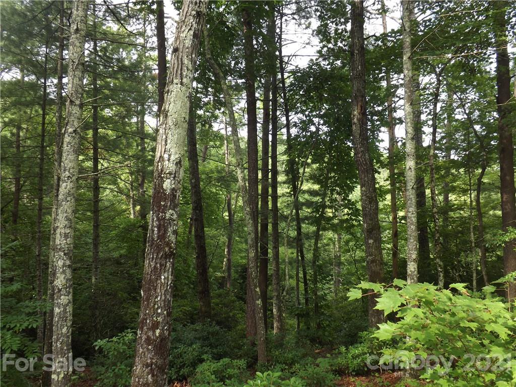 0 Fox Ridge Trail, Unit 6 Marion, NC 28752 - Photo 15 of 28 Gallery Image 15