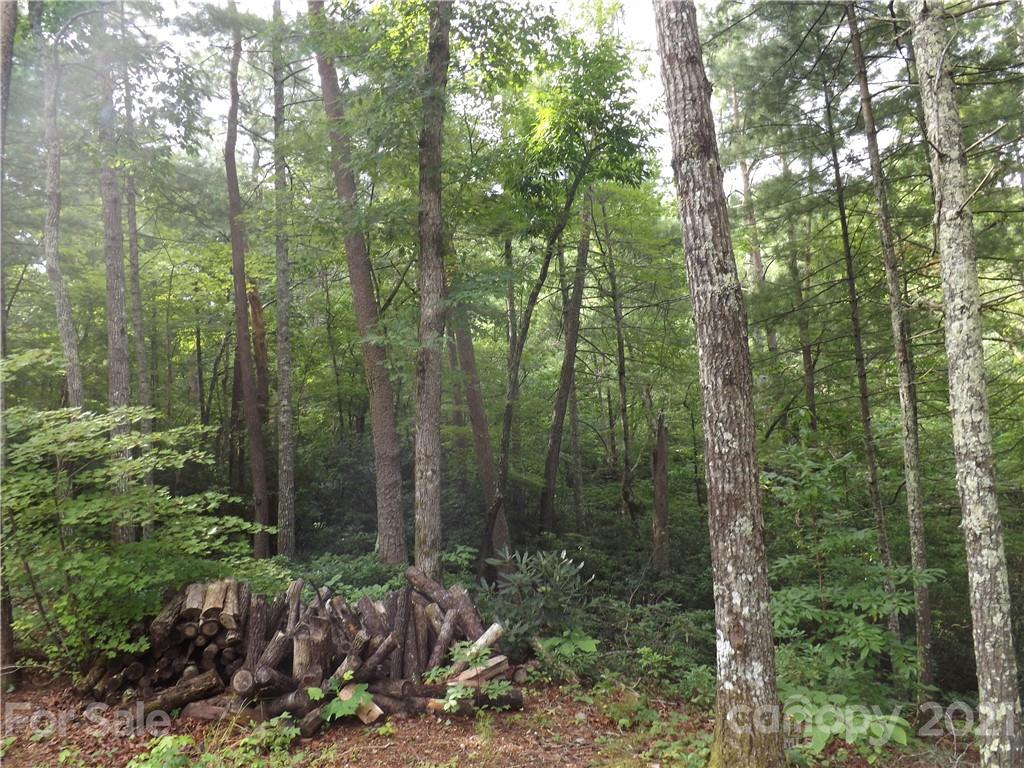 0 Fox Ridge Trail, Unit 6 Marion, NC 28752 - Photo 16 of 28 Gallery Image 16