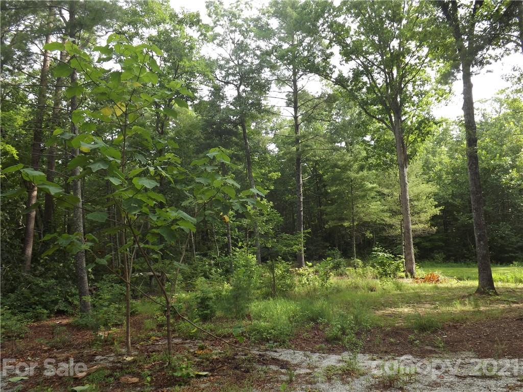 0 Fox Ridge Trail, Unit 6 Marion, NC 28752 - Photo 17 of 28 Gallery Image 17