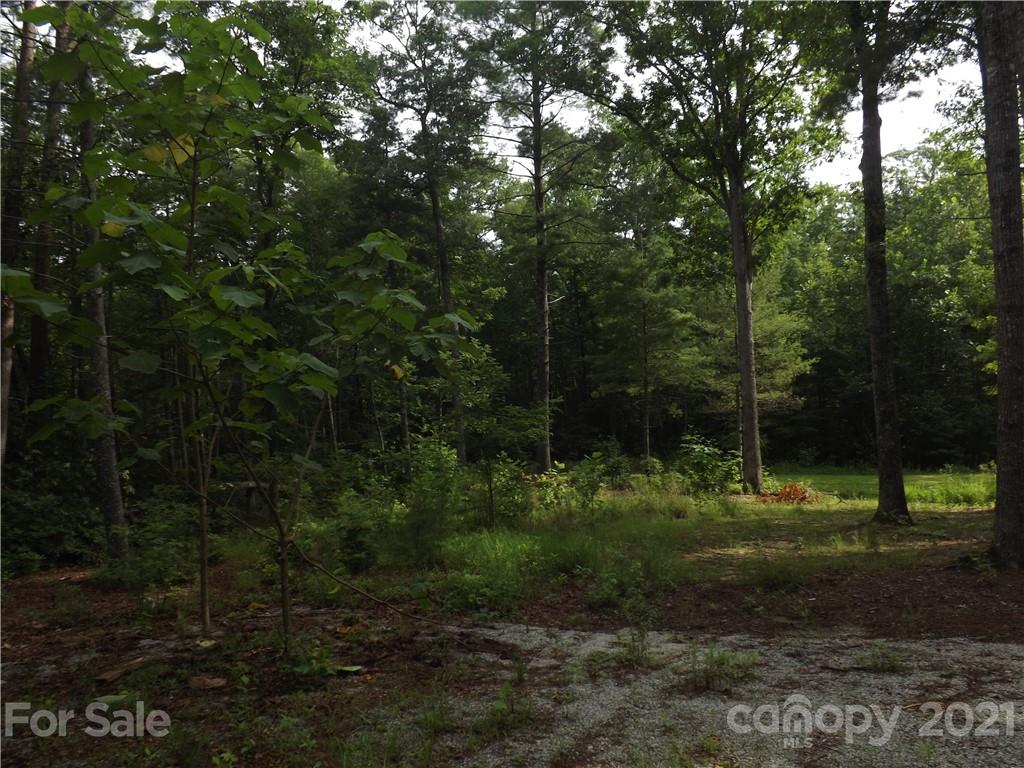 0 Fox Ridge Trail, Unit 6 Marion, NC 28752 - Photo 19 of 28 Gallery Image 19