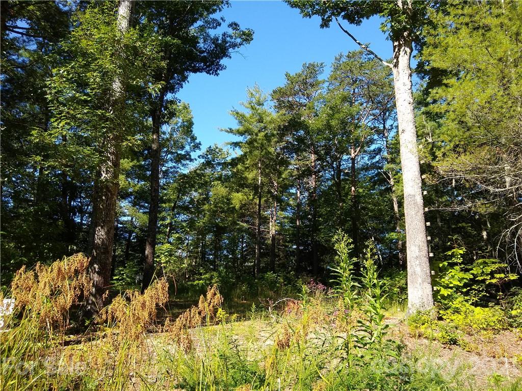 0 Fox Ridge Trail, Unit 6 Marion, NC 28752 - Photo 27 of 28 Gallery Image 27