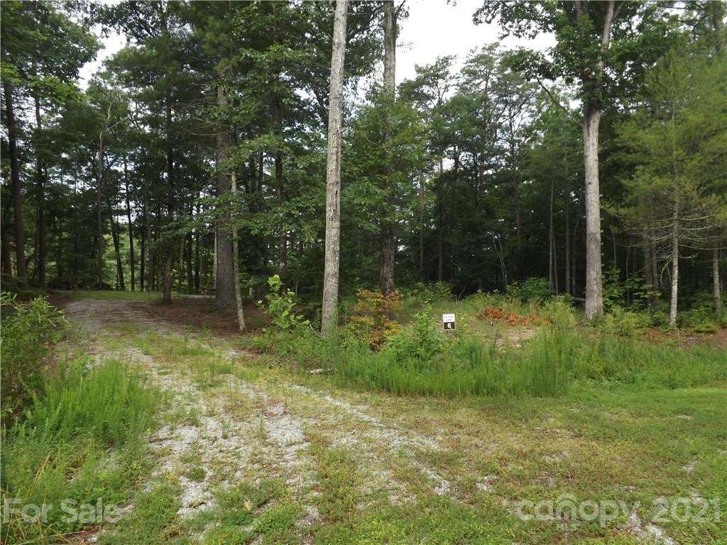 0 Fox Ridge Trail, Unit 6 Marion, NC 28752 - Photo 10 of 28 Gallery Image 10
