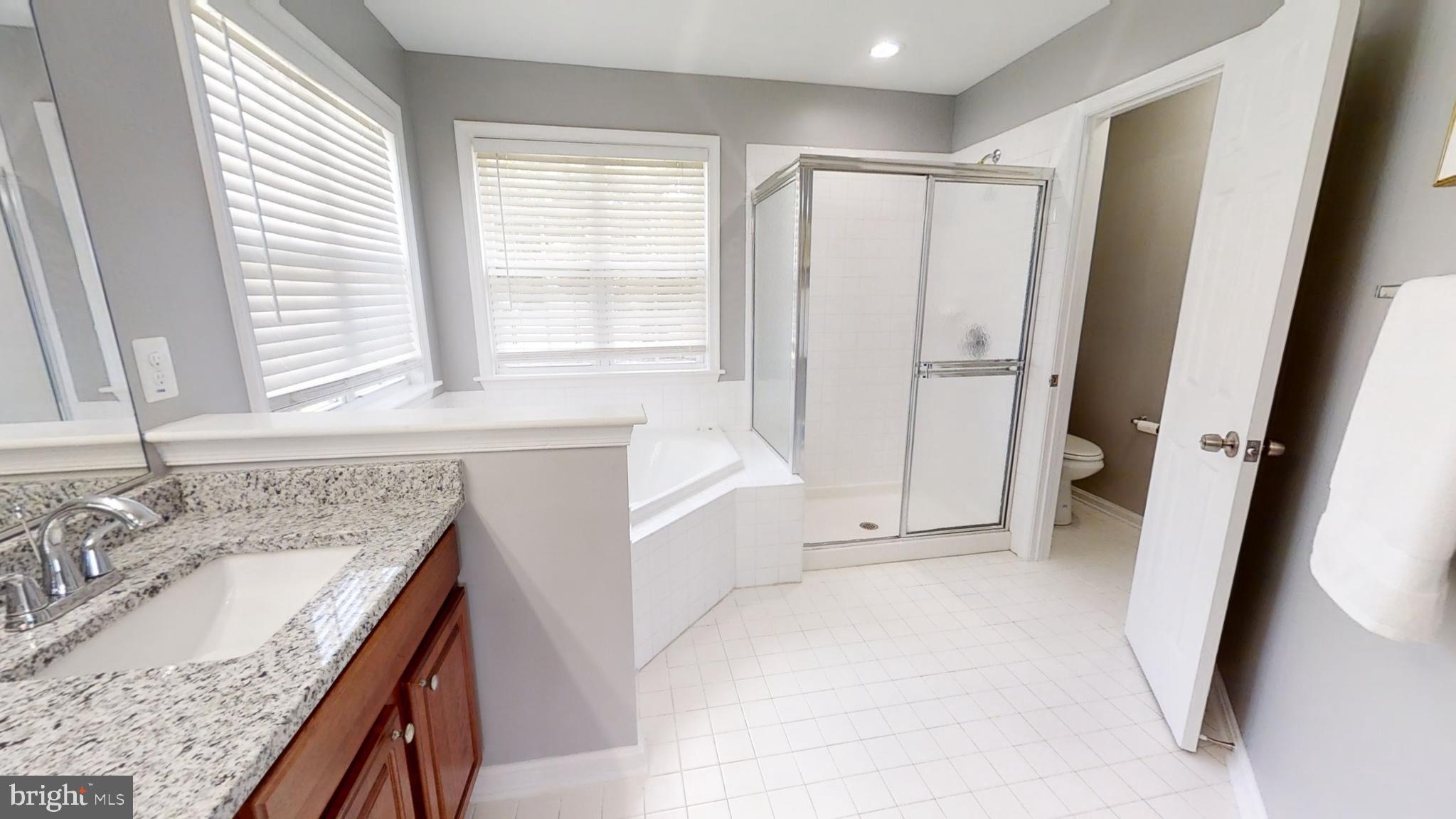 10011 Paxton Road Randallstown, MD 21133 - Photo 22 of 43 Huge Owners Suite Bathroom
