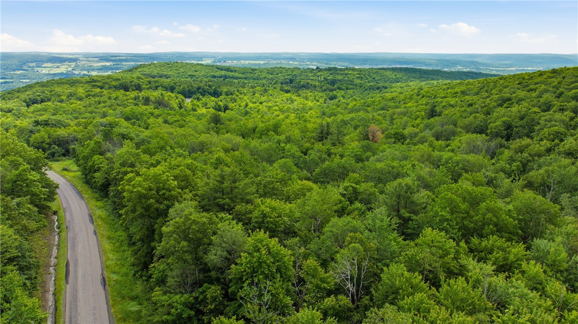 Dunn Road Pine Valley, NY 14872 - Photo 8 of 14