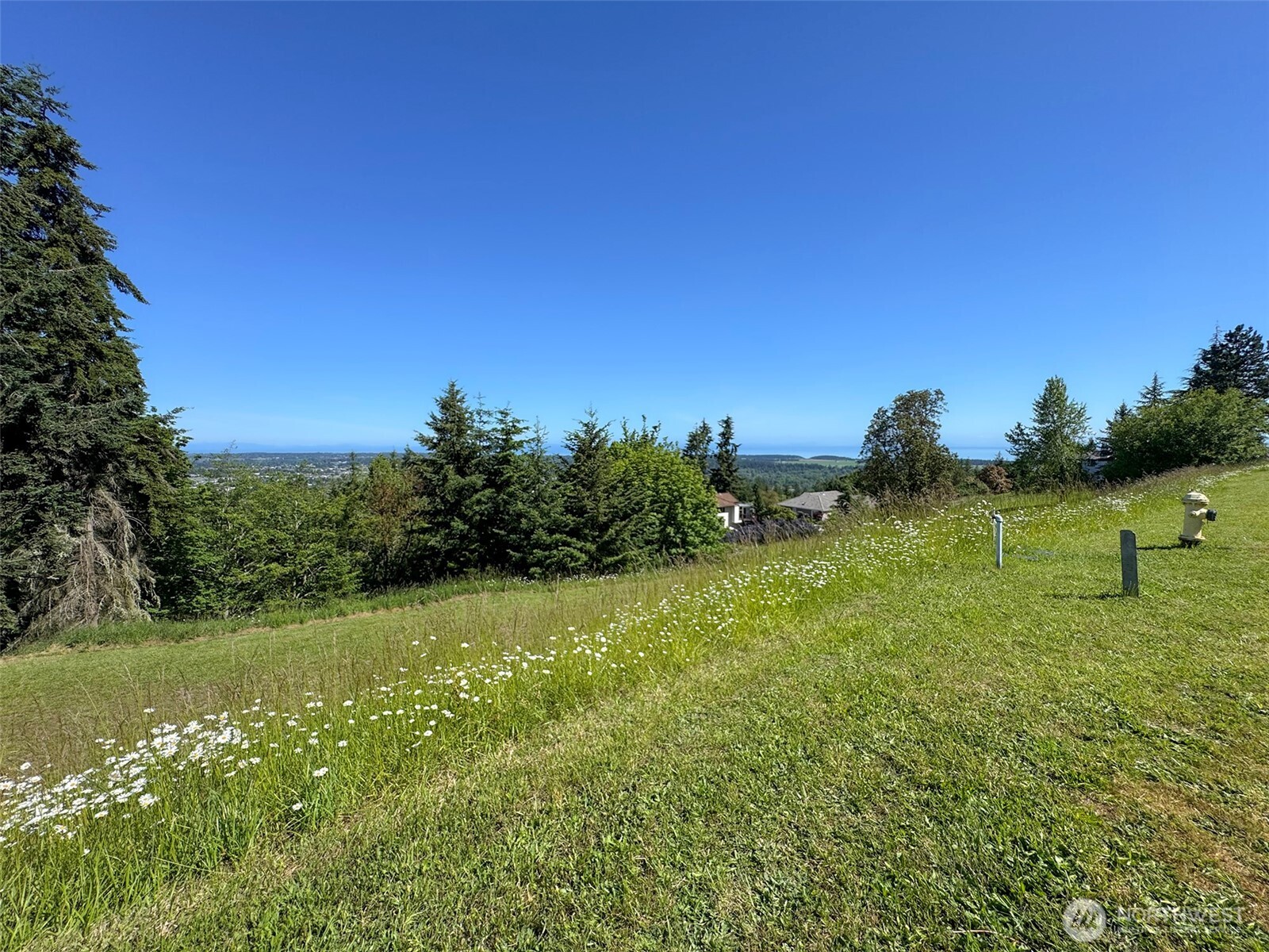 -nka Owls Nest Road Sequim, WA 98382 - Photo 7 of 38 a view of a grassy area with an trees