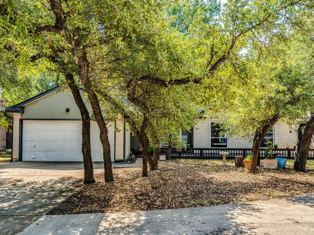 a view of a yard with plants and trees
