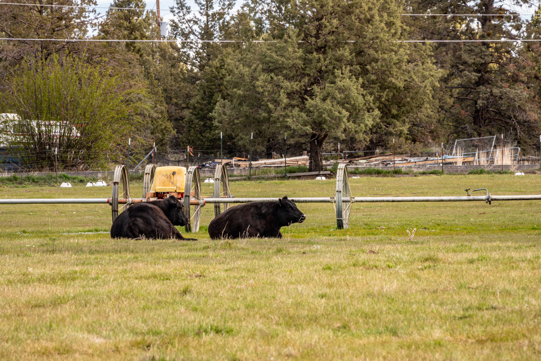 62920 Dickey Road Bend, OR 97701 - Photo 43 of 47 62920 Dickey Rd_0072 copy