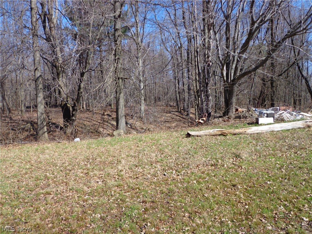 5047 Highway 534 Rome, OH 44085 - Photo 15 of 22 Gallery Image 15