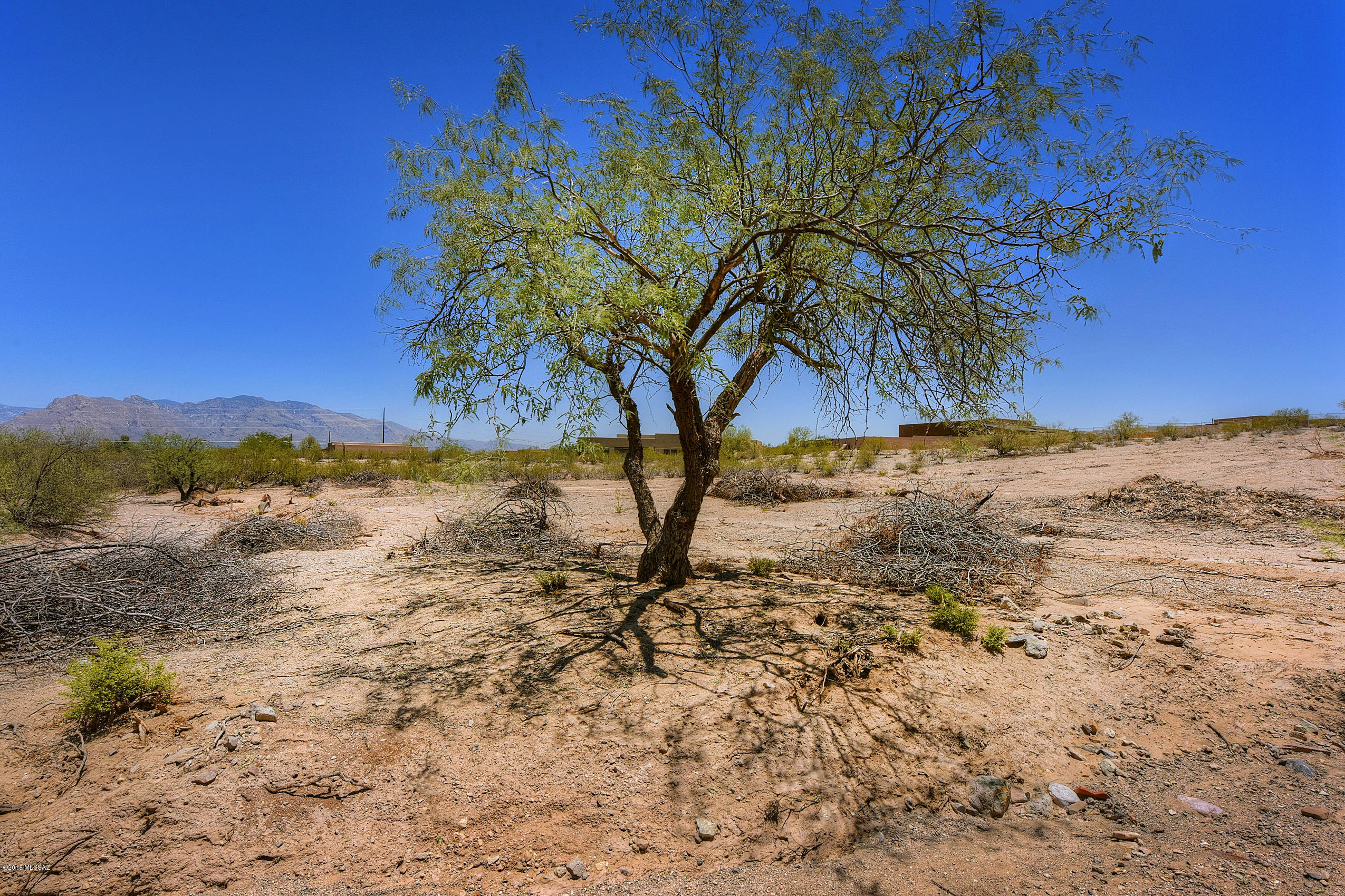 5165 North Silverbell Road Tucson, AZ 85745 - Photo 5 of 15 Gallery Image 5