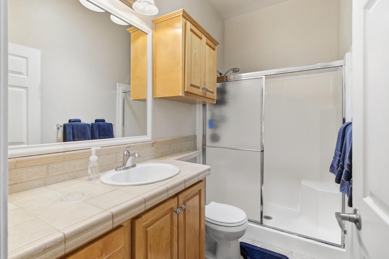 12390 Hobday Road Wilton, CA 95693 - Photo 39 of 92 a bathroom with a sink toilet and shower