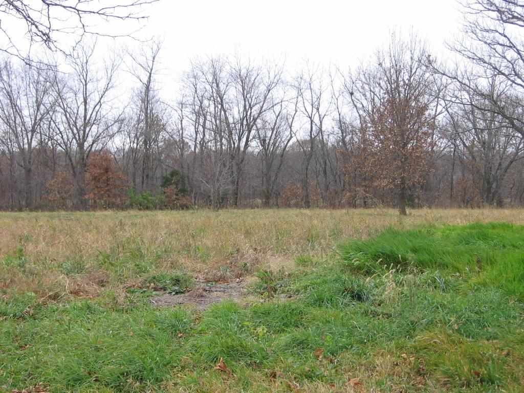 White Frame Road Littleton, IL 61452 - Photo 1 of 16