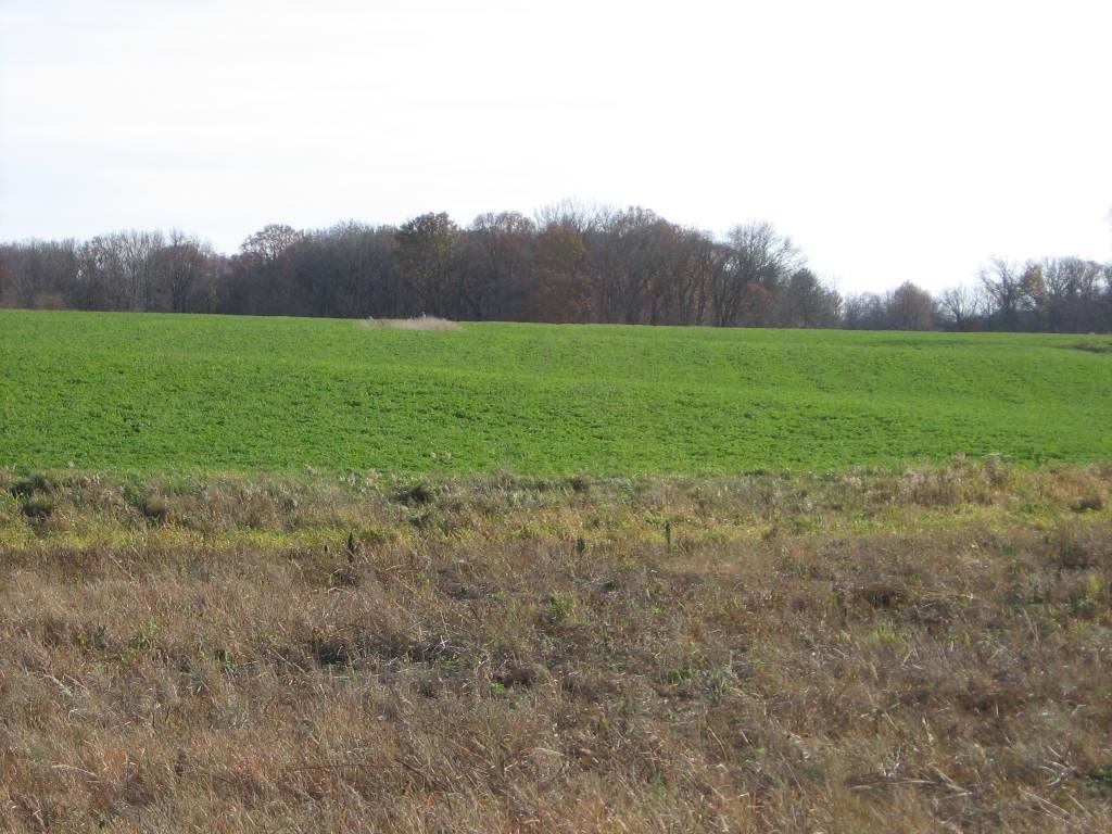 White Frame Road Littleton, IL 61452 - Photo 13 of 16