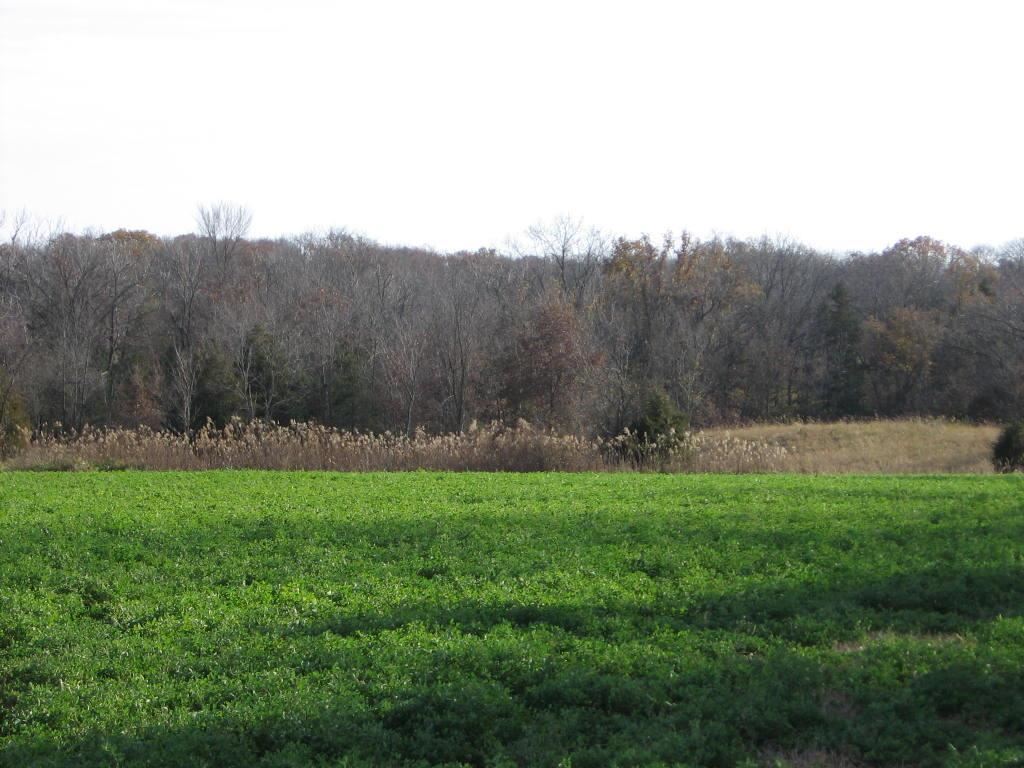 White Frame Road Littleton, IL 61452 - Photo 3 of 16