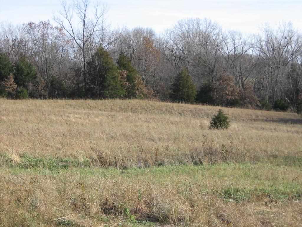 White Frame Road Littleton, IL 61452 - Photo 4 of 16