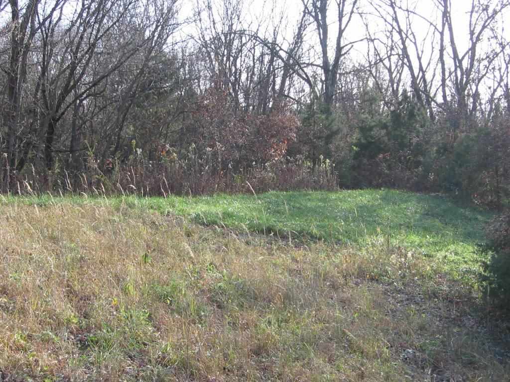 White Frame Road Littleton, IL 61452 - Photo 7 of 16