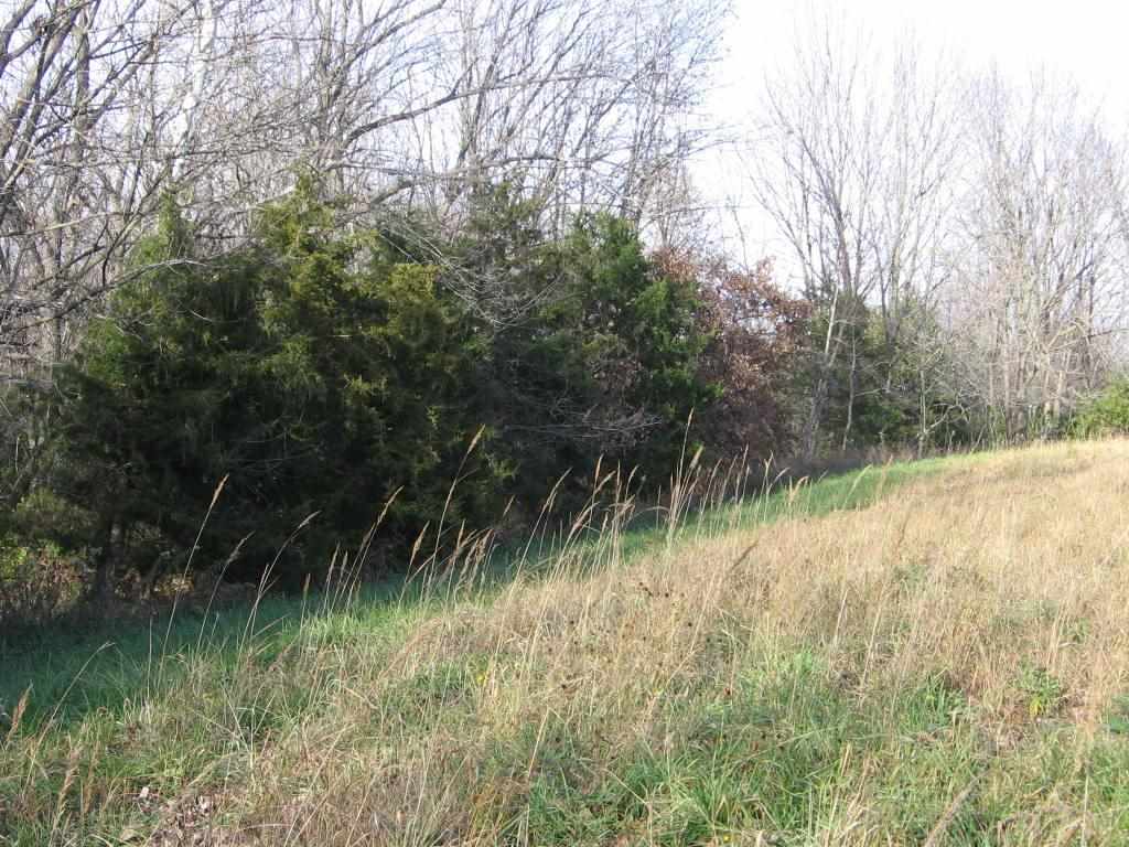 White Frame Road Littleton, IL 61452 - Photo 8 of 16