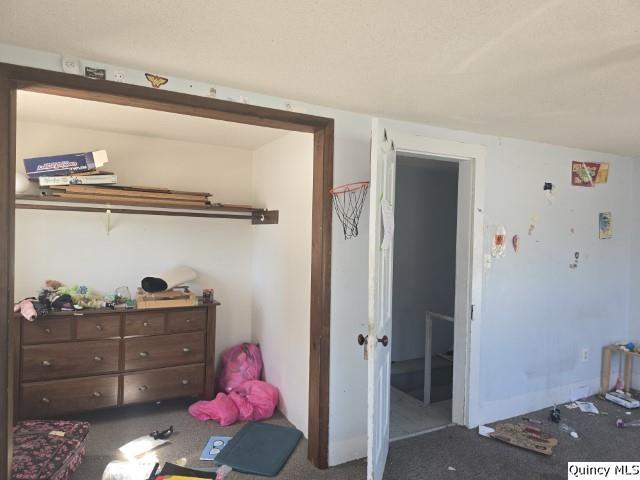 65 East 3rd Street Dallas City, IL 62330 - Photo 14 of 21