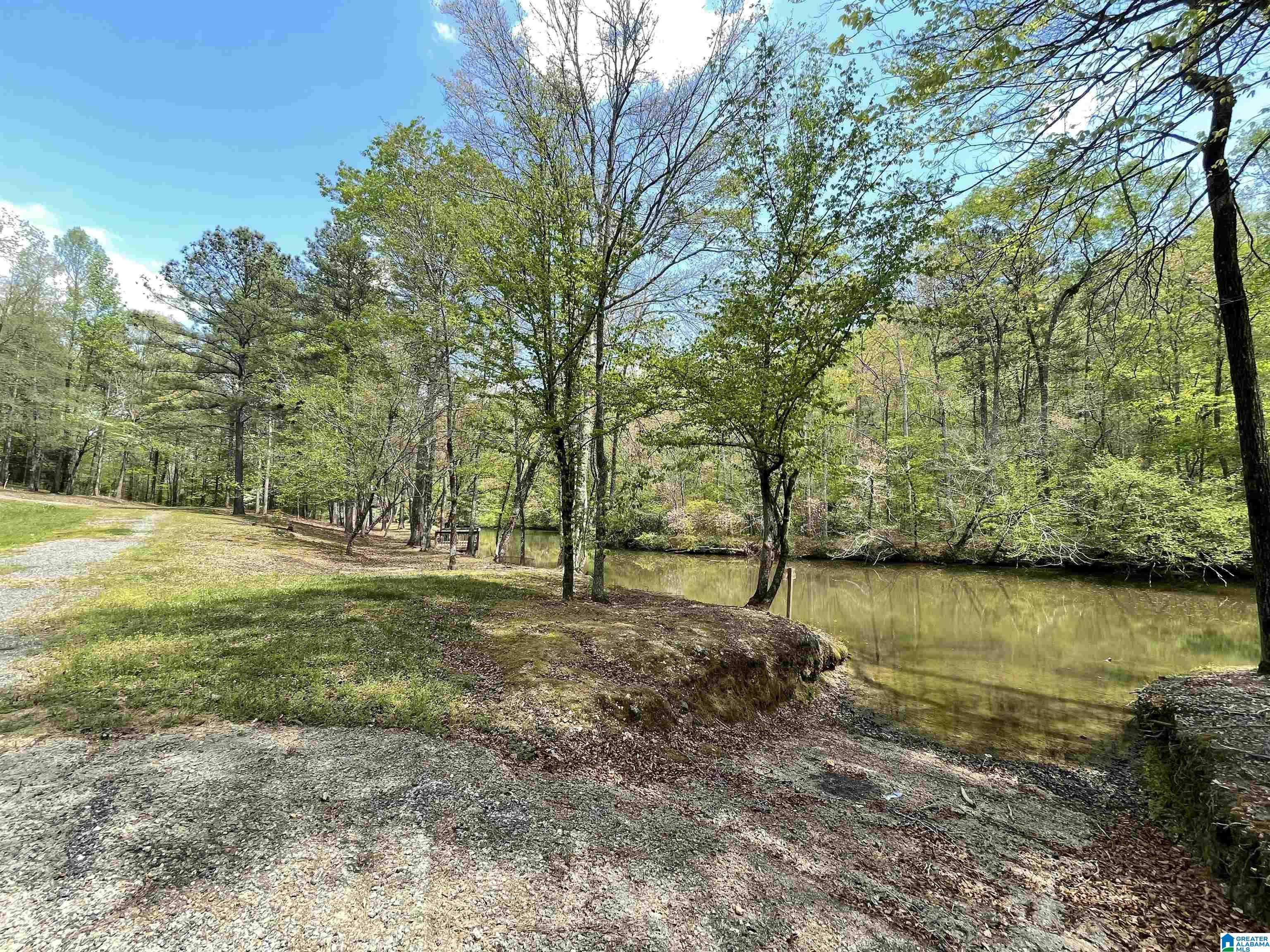410 Waldrop Road Ashville, AL 35953 - Photo 14 of 15