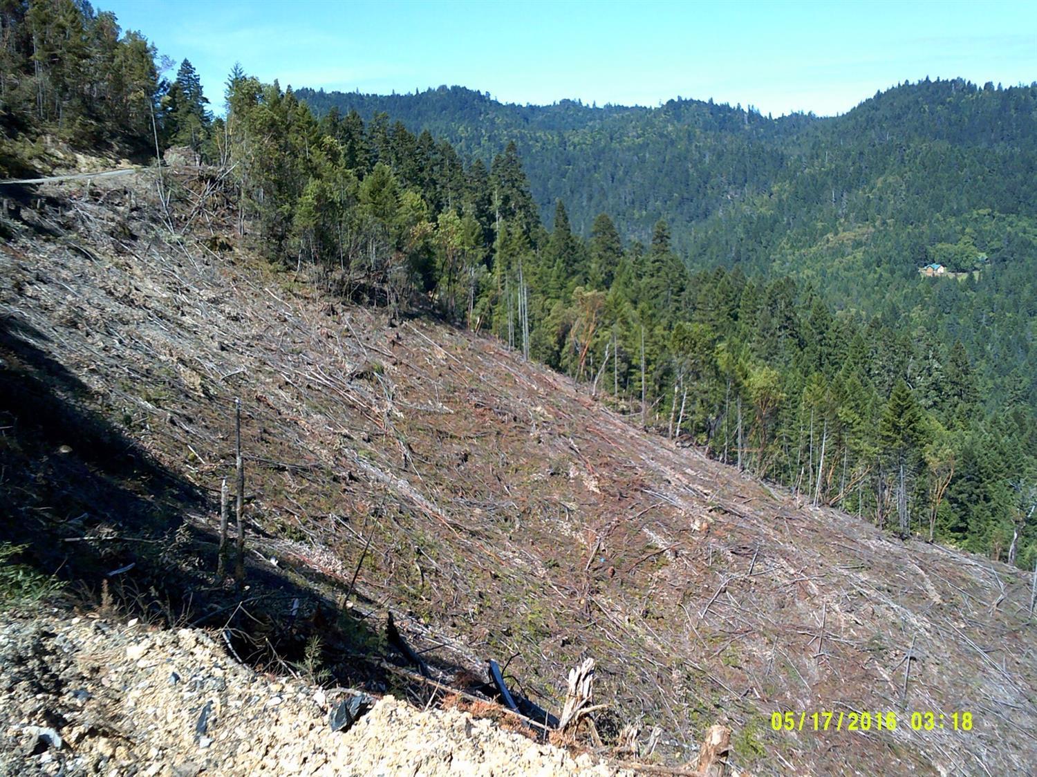 View looking down from road, north side