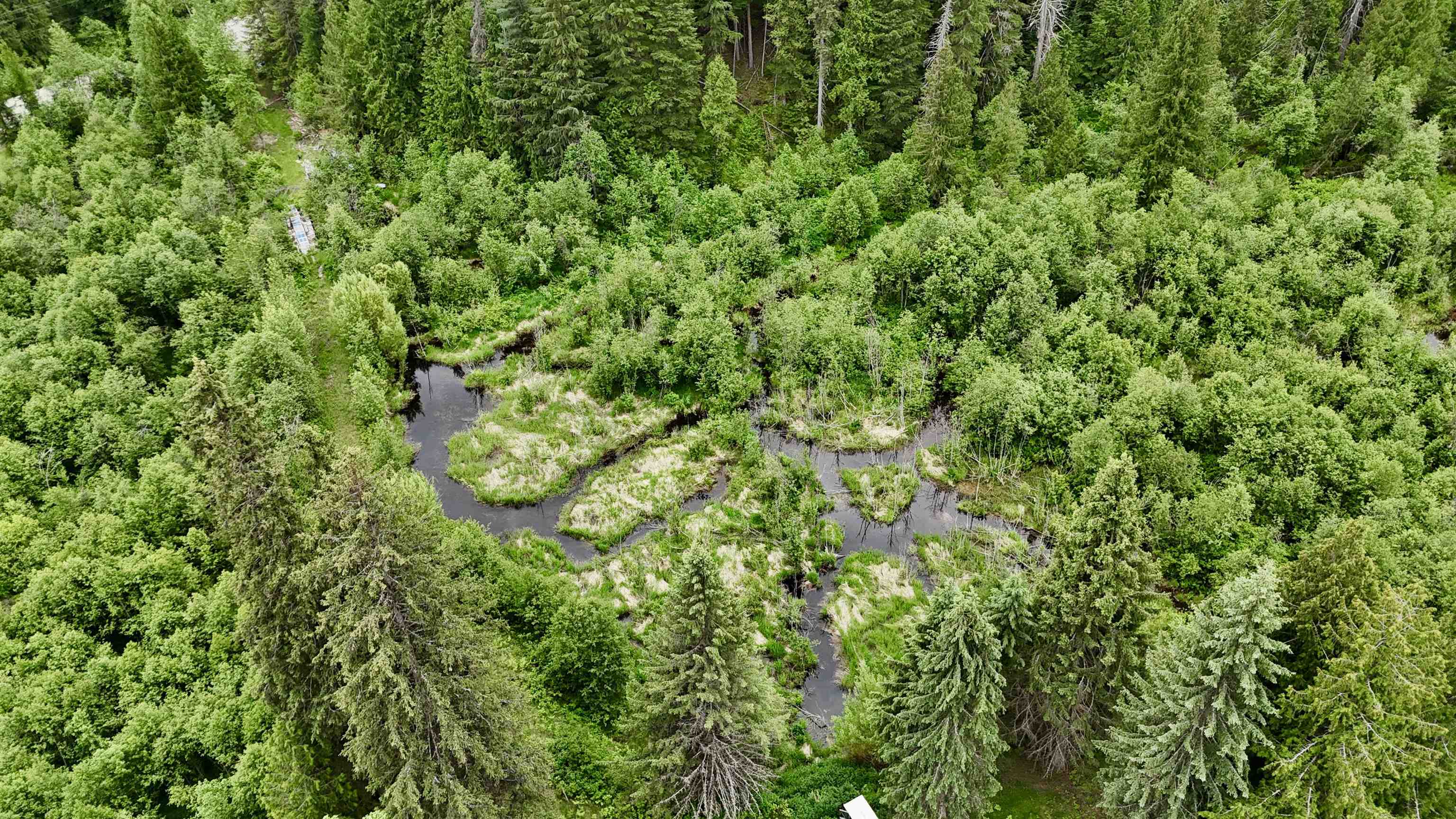 1851 Boundary Road Metaline Falls, WA 99153 - Photo 17 of 34