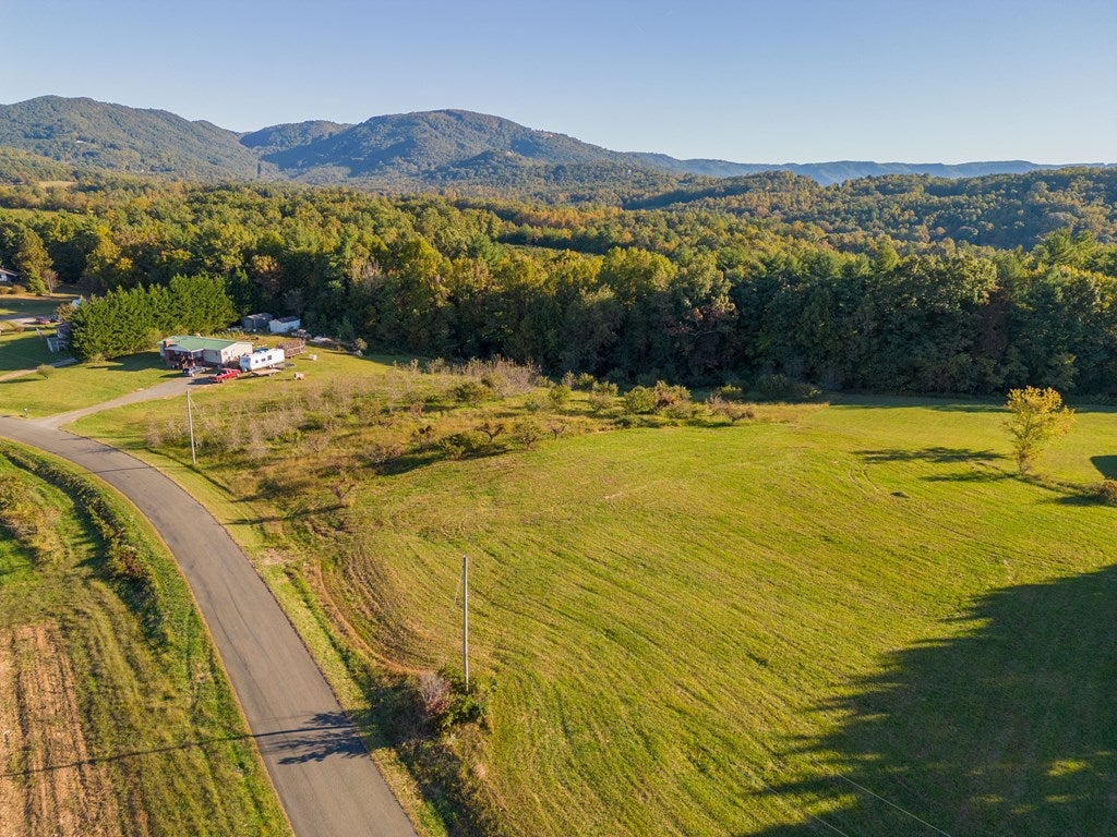 Tbd Apple Ridge Road, Unit 7 Cana, VA 24317 - Photo 4 of 27 Gallery Image 4