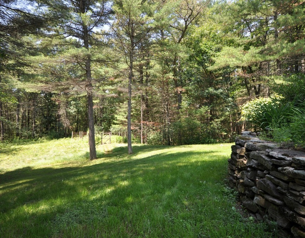 163 Sunset Road Carlisle, MA 01741 - Photo 16 of 19 a view of a field with a tree