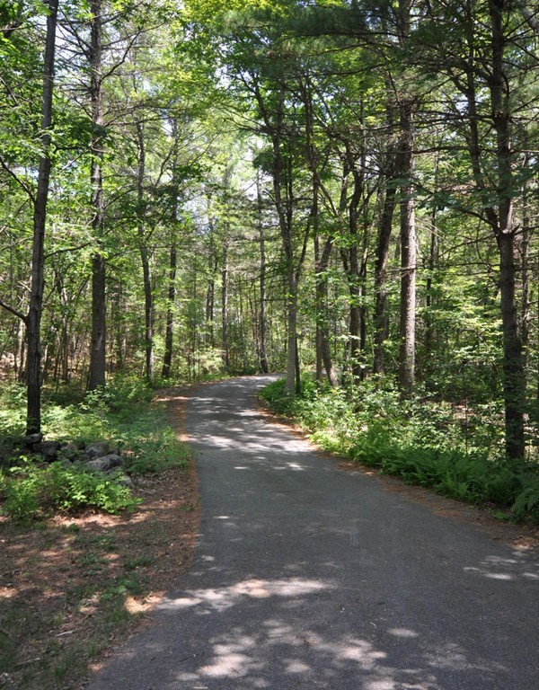 163 Sunset Road Carlisle, MA 01741 - Photo 18 of 19 a view of outdoor space and yard