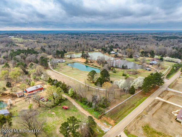 4597 Hernando Road Holly Springs, MS 38635 - Photo 13 of 96 4597 Old Hernando Rd Holly Springs MS_20