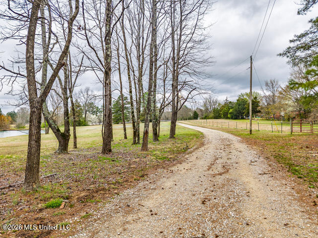4597 Hernando Road Holly Springs, MS 38635 - Photo 20 of 96 4597 Old Hernando Rd Holly Springs MS_20
