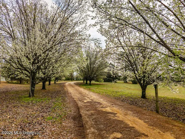$798,000 | 4597 Hernando Road, Holly Springs, MS 38635