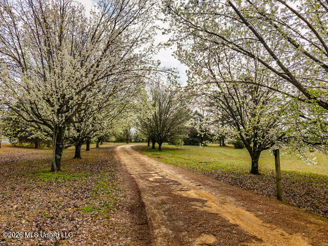 4597 Hernando Road Holly Springs, MS 38635 - Photo 2 of 96 4597 Old Hernando Rd Holly Springs MS_20