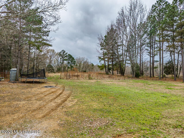 4597 Hernando Road Holly Springs, MS 38635 - Photo 23 of 96 4597 Old Hernando Rd Holly Springs MS_20