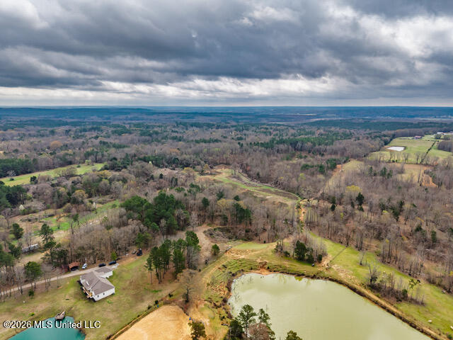 4597 Hernando Road Holly Springs, MS 38635 - Photo 6 of 96 4597 Old Hernando Rd Holly Springs MS_20