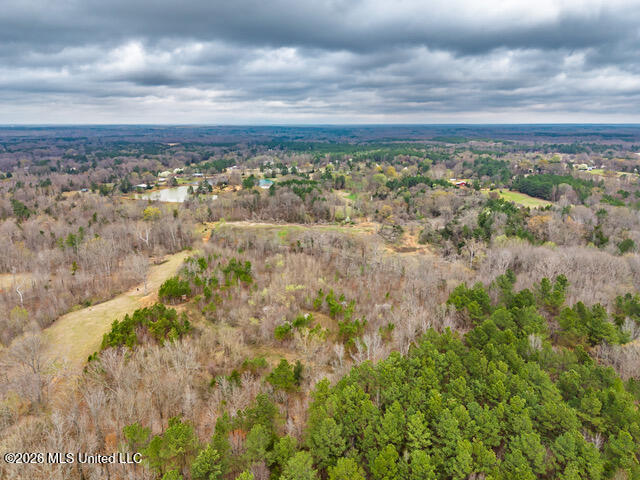 4597 Hernando Road Holly Springs, MS 38635 - Photo 8 of 96 4597 Old Hernando Rd Holly Springs MS_20
