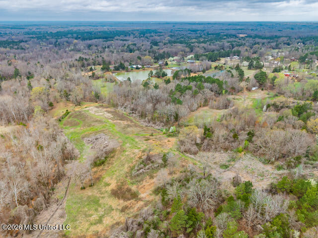 4597 Hernando Road Holly Springs, MS 38635 - Photo 10 of 96 4597 Old Hernando Rd Holly Springs MS_20