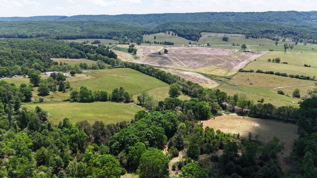 85-acre Coffey Road, Unit 1 & 2 Max Meadows, VA 24360 - Photo 12 of 25 Gallery Image 12