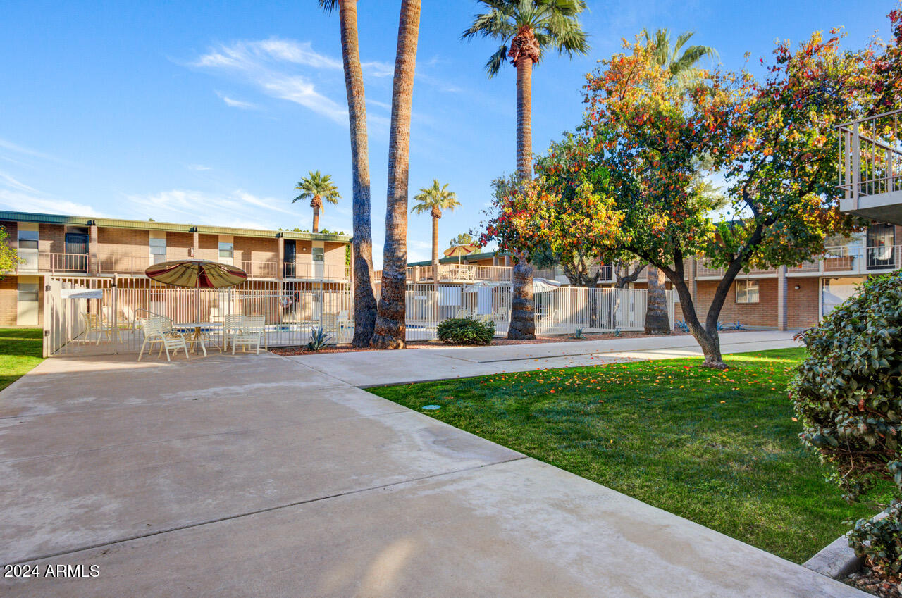 3737 East Turney Avenue, Unit 116 Phoenix, AZ 85018 - Photo 19 of 24 a view of a building with a yard