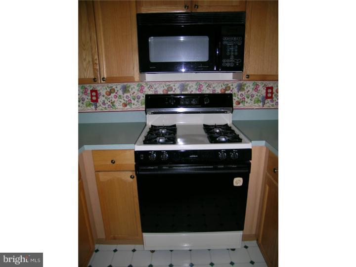 5526 Rinker Circle, Unit 335 Doylestown, PA 18902 - Photo 10 of 24 Kitchen