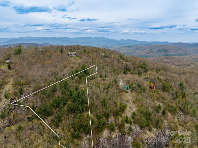 a view of a city with lots of trees