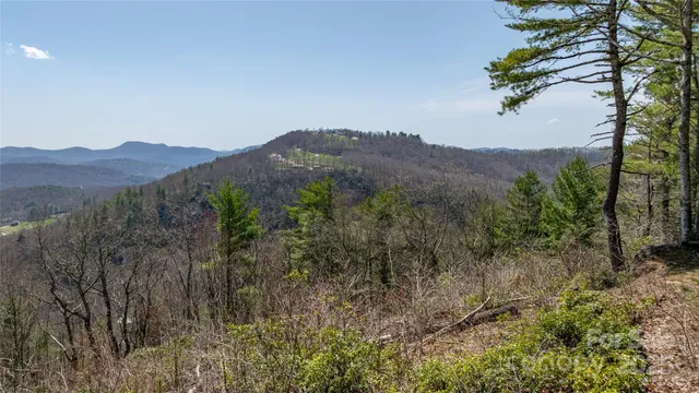 a view of a mountain in the distance in a field