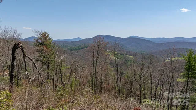 a view of a city with a mountain in the background
