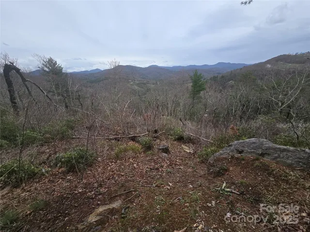 a view of a mountain range with trees in the background