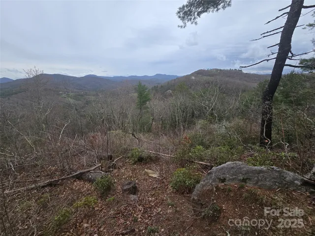 a view of a city with lush green forest