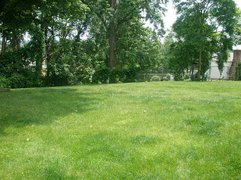 800 Lindsay Road Carnegie, PA 15106 - Photo 4 of 13 Yard/Garden.