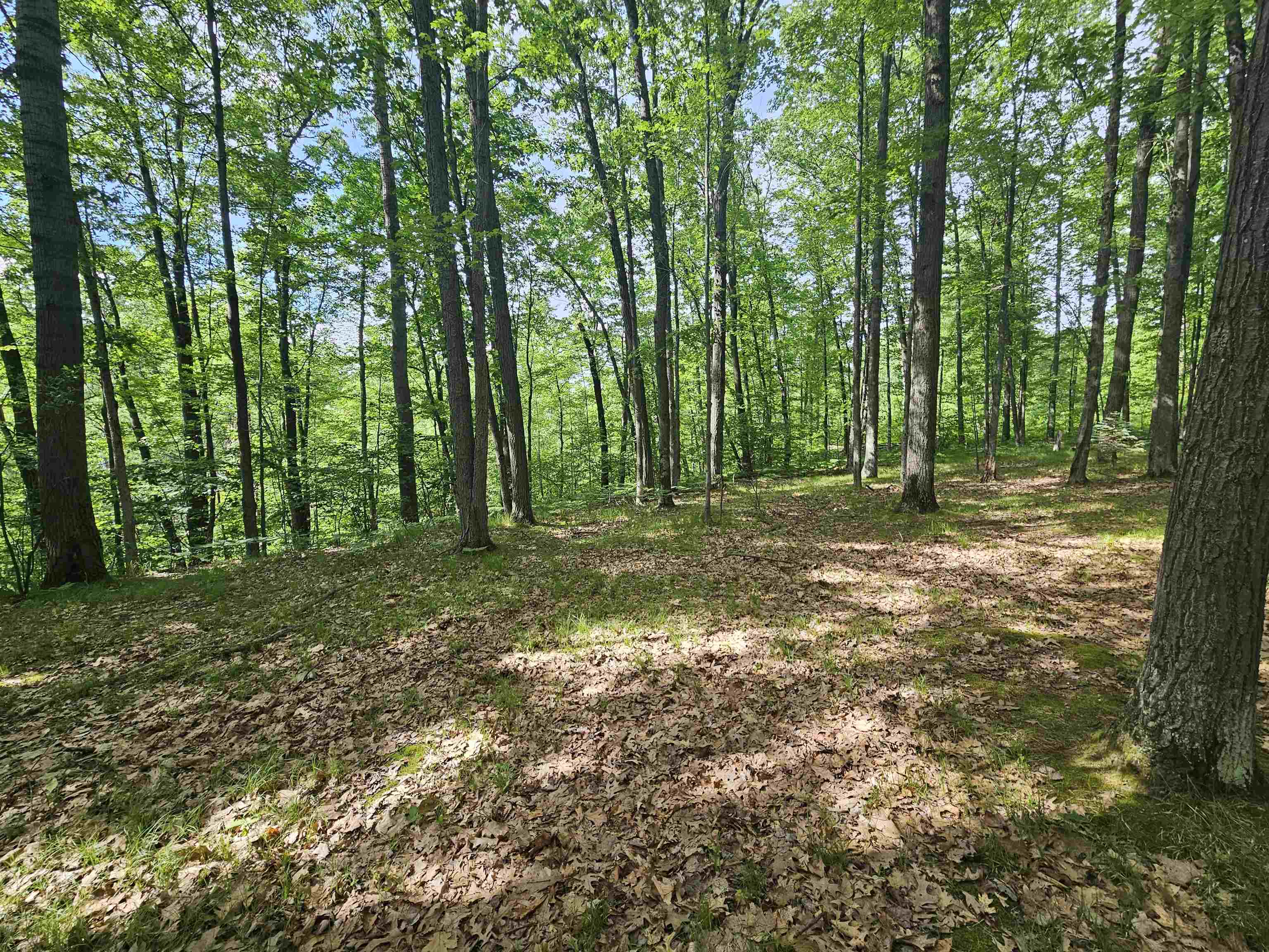 3020 Cedar Road Harrison, MI 48625 - Photo 10 of 37 Gallery Image 10