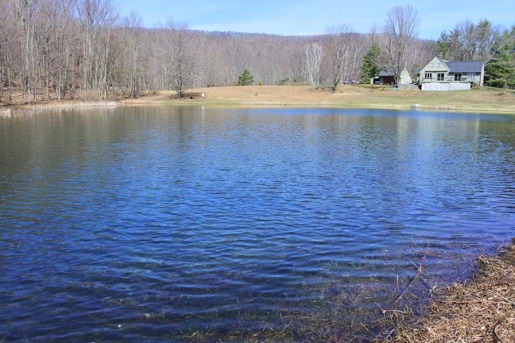 119 Mc Garron Road Middletown Springs, VT 05757 - Photo 3 of 40 Gallery Image 3
